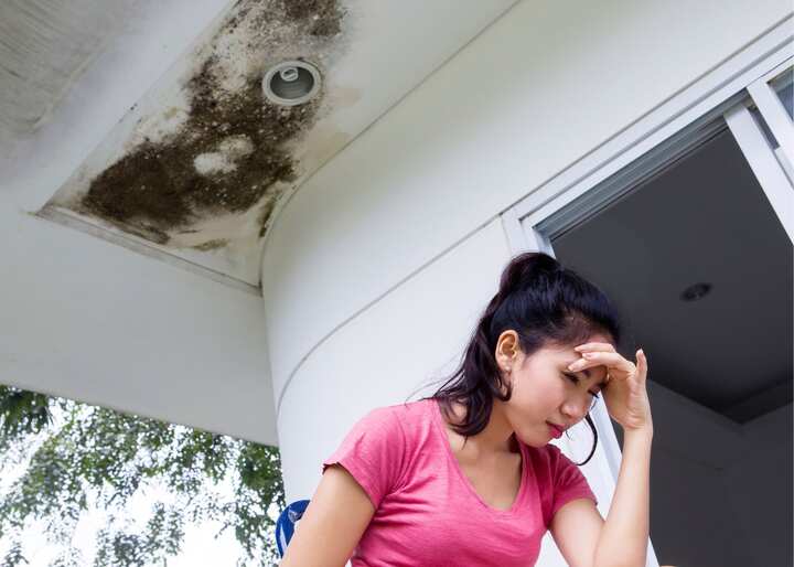 Water Damage Restoration Fairfax VA