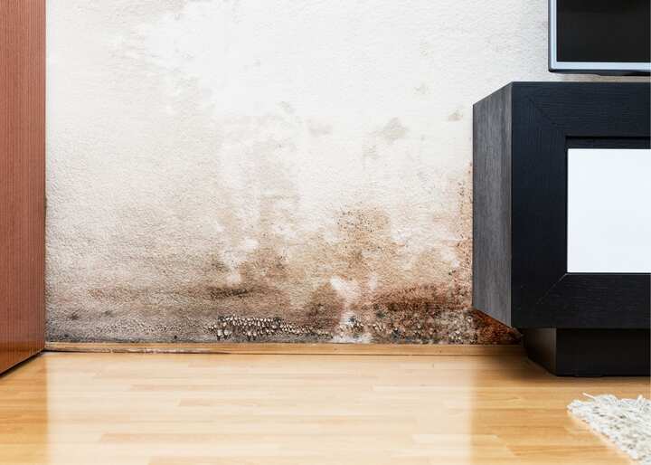 Water Damage Restoration Fairfax VA